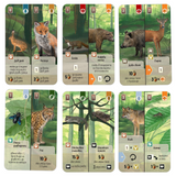 Горска бъркотевица (Forest Shuffle) - семейна настолна игра