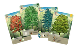 Forest Shuffle - семейна настолна игра