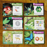 Life of the Amazonia - стратегическа настолна игра