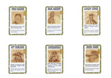 Bang! 4th Edition Card Game - настолна игра с карти - Pikko Games